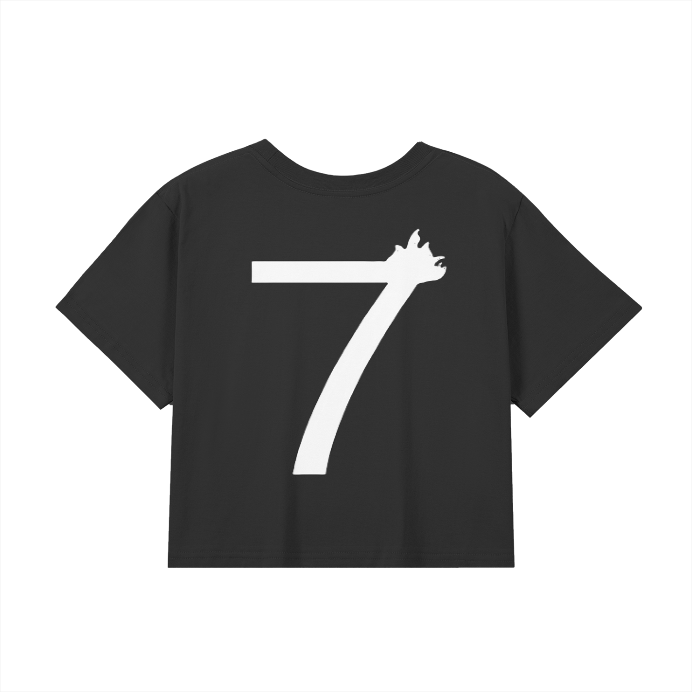 Haloboy Blue Jack Cropped T-Shirt Black